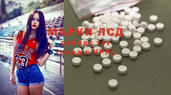 спайс Арсеньев