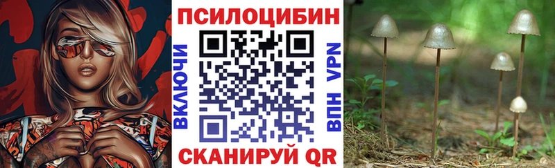 Купить закладки Северо-Курильск Галлюциногенные грибы Psilocybine cubensis